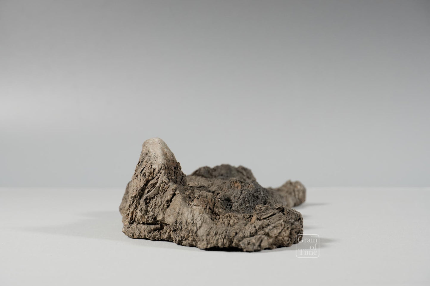 24982: Fujieda Crepe Suiseki (Yojuro Style)- 16½ in (42cm)