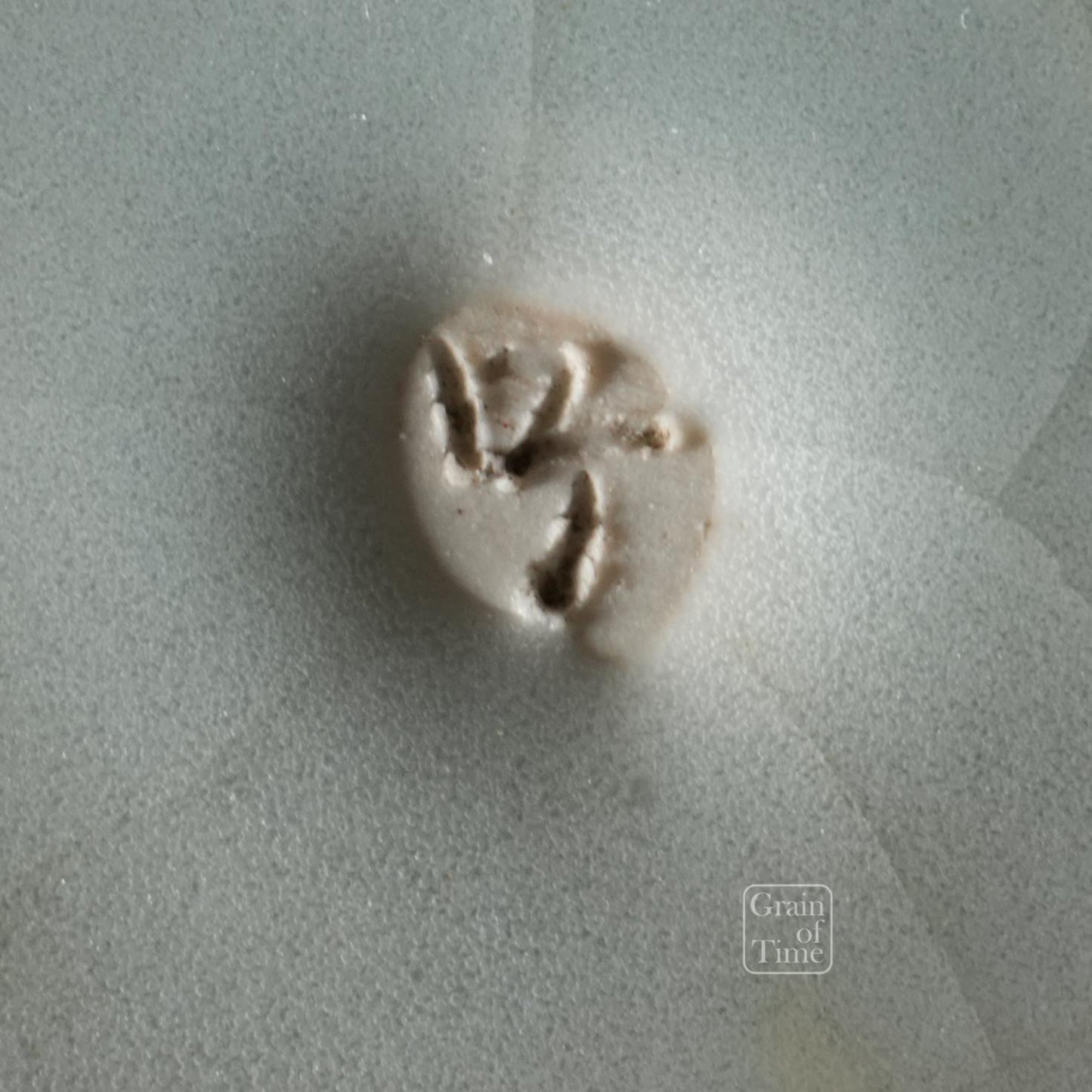 24977: Imaoka Machinao - Celadon Oval w/ Patina - 4⅝ in (12cm)