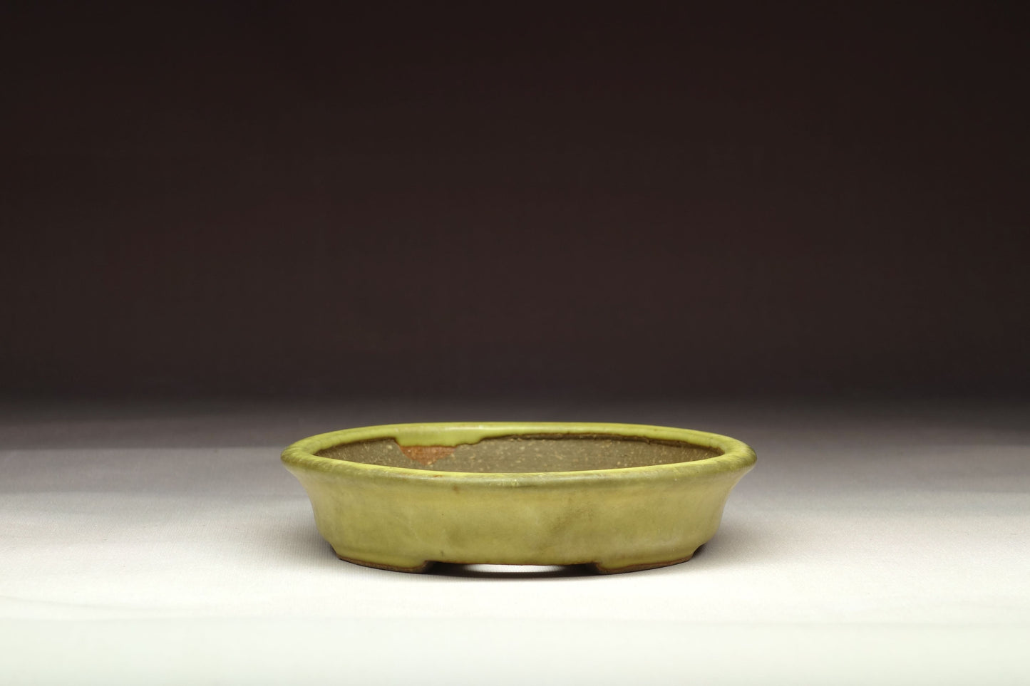 Bonsai Pot by Hattori (Tokoname) - 5in (13cm) - Yellow glazed Oval