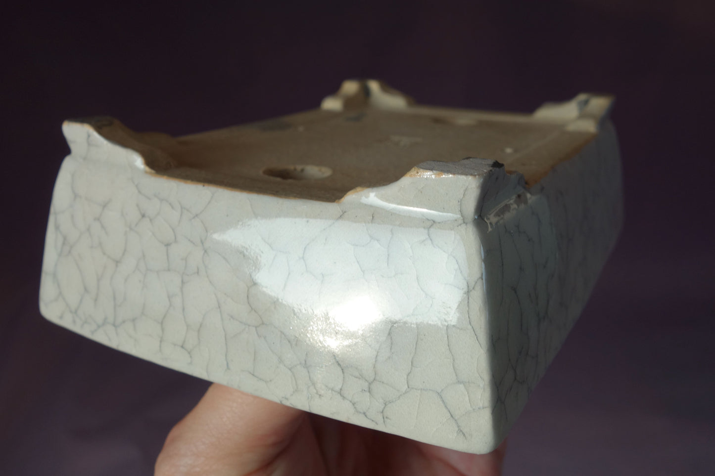 Bonsai Pot by Shibakatsu (Tokoname) - 6¼in (16cm) - Ice Crackle Rectangle