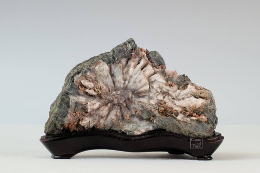 24170 - Chrysanthemum Stone - Kikka-ishi - 6¼in (16cm)