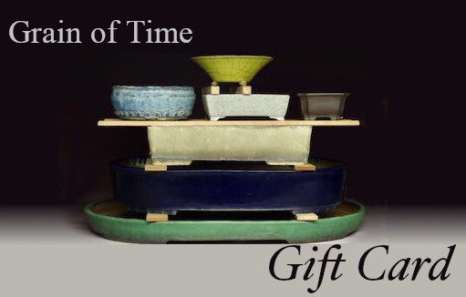 Grain of Time Gift Card